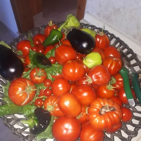 Appartement Studio Apartman Sego Račišće